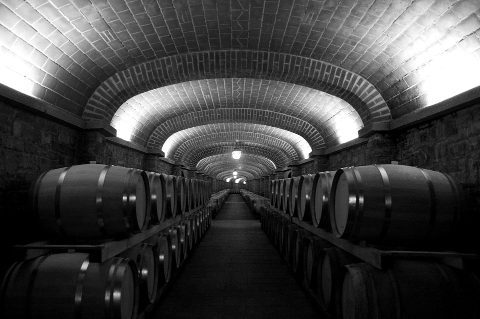Ejemplos de bodegas